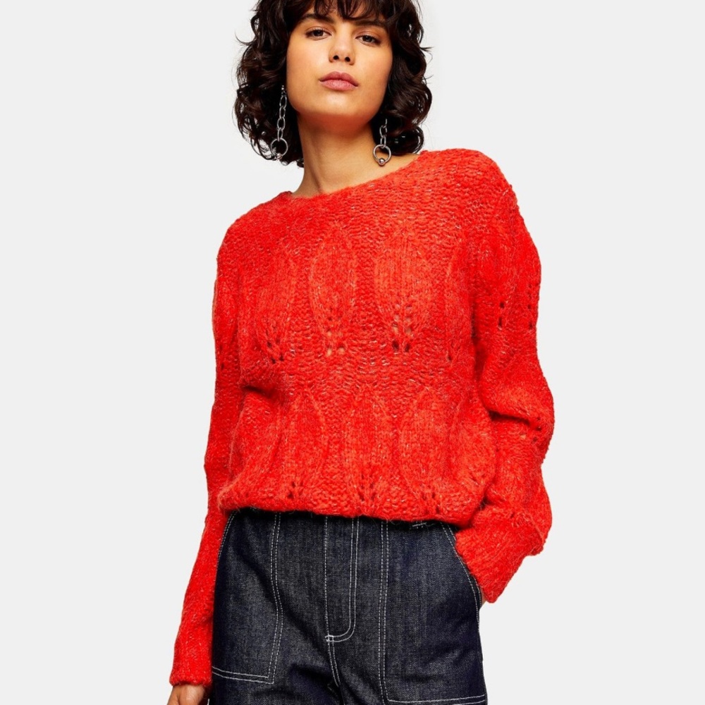 NWT Topshop Red Knitted Petal Gauzy Sweater Large